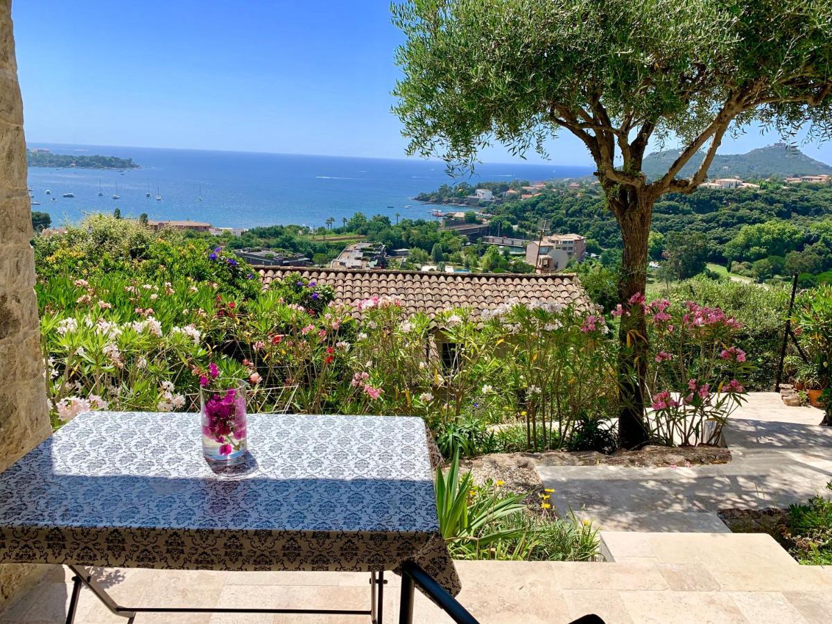 Villa Grand Baie Saint-Raphaël Εξωτερικό φωτογραφία